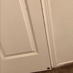 Meet your Posher, Johnny